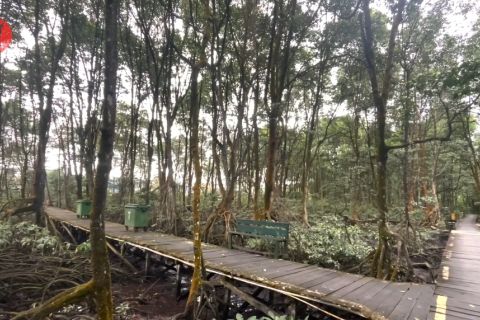 Gandeng GGGI, Pemprov Kaltara wujudkan pembangunan hijau