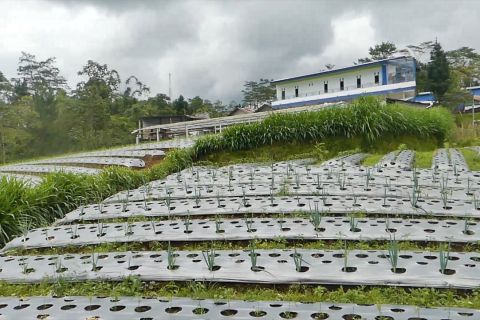 Temanggung targetkan 44 ribu bidang tanah bersertifikat di akhir tahun