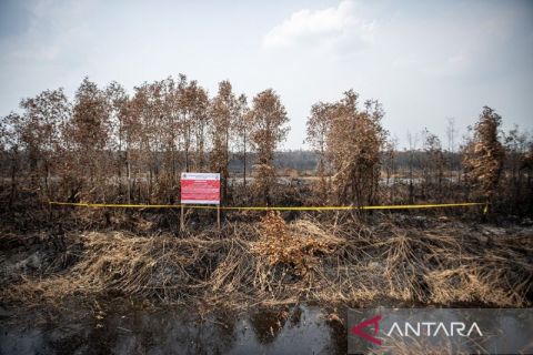 Gakkum KLHK segel lahan milik Sampoerna Agro dan Tempirai