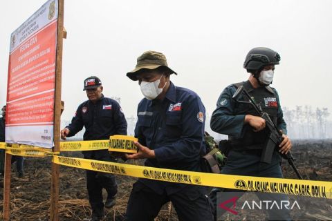 KLHK segel lahan terbakar milik perusahan