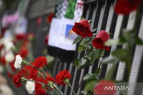 Belasungkawa warga Rusia untuk Palestina