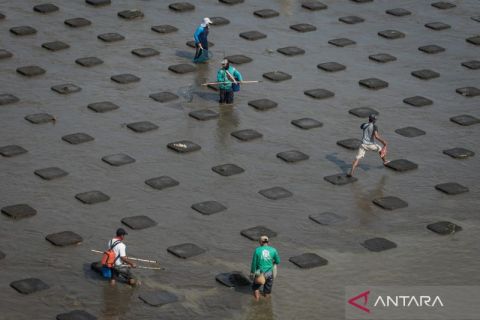 Serunya menangkap ikan di Bendungan Colo Sukoharjo