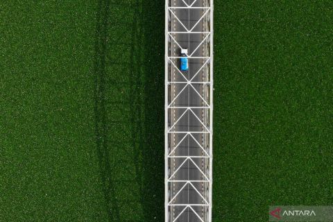 Bengawan Solo menghijau oleh eceng gondok