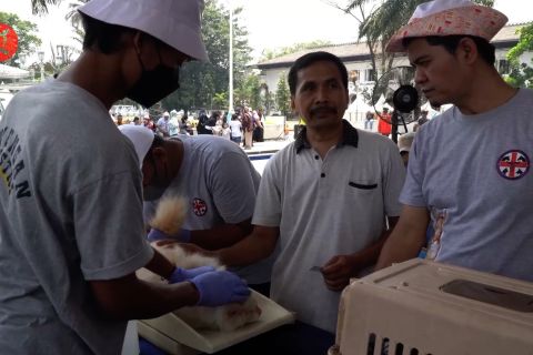 Hari Rabies Sedunia 2023, 33 ribu hewan peliharaan mendapat vaksin