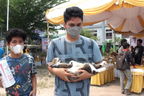 Hari Rabies Sedunia DPKP Palangka Raya layani vaksinasi rabies gratis