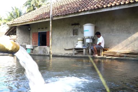 Jabar manfaatkan IoT untuk tingkatkan daya saing pembudidaya ikan nila
