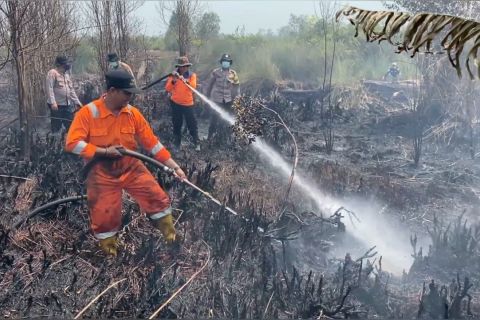 Kejari Palangka Raya dukung pencabutan SKT di lahan yang terbakar