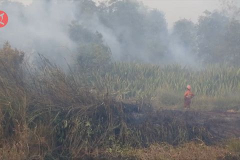 KLHK: Tawaran kerja sama Malaysia bentuk solidaritas negara ASEAN
