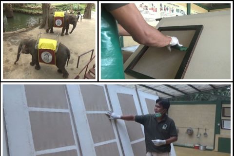 Limbah kotoran gajah menjadi kertas ramah lingkungan