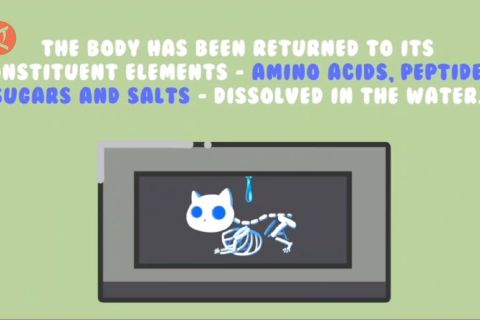 Mengenal akuamasi, penanganan jasad hewan peliharaan terbaru