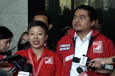 Permohonan ditolak MK, PSI siap berjuang melalui parlemen