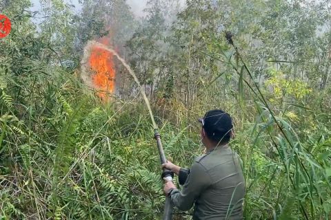 Karhutla Palangka Raya terjadi di areal gambut bekas kebakaran