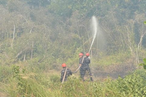 Satgas basahi lahan tangani Karhutla di Kalsel