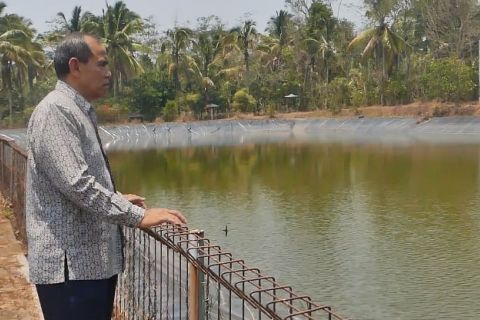 Air embung jadi tumpuan petani durian di Temanggung