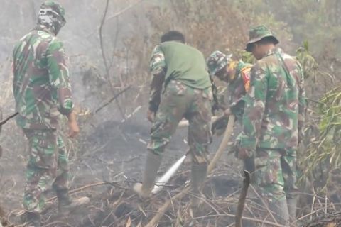 Kementan siapkan bantuan pompa antisipasi kebakaran ke area perkebunan
