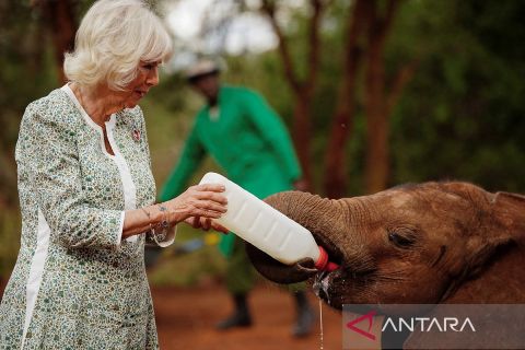 Kunjungan Raja Charles dan Ratu Camilla ke Kenya