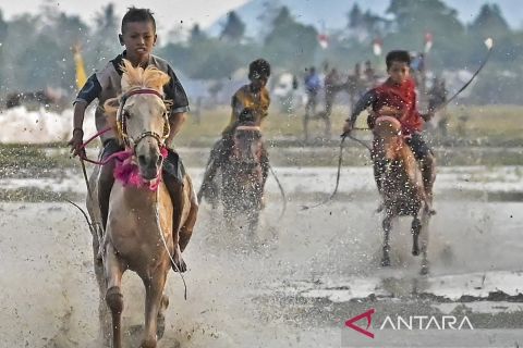 Pacuan kuda lumpur di Dompu