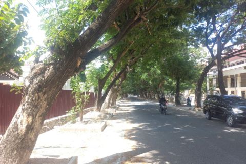 Salah satu jalan yang memiliki suasana sejuk ditengah musim panas yang melanda Kota Palu