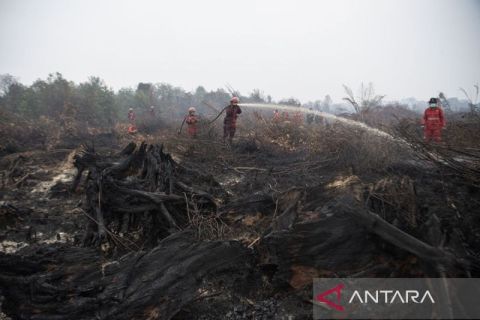 Upaya pemadaman kebakaran lahan gambut di Ogan Komering Ilir