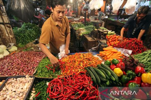 Pemerintah upayakan stabilisasi pasokan dan harga cabai rawit merah