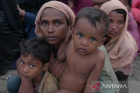 Foto pilihan pekan ketiga November 2023