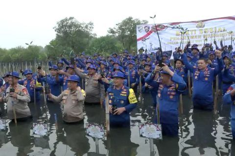 Lestarikan ekosistem laut, Polairud tanam 73 ribu bibit mangrove