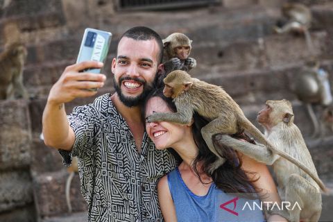 Festival monyet tahunan di Thailand