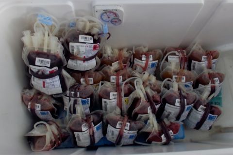 Penuhi stok darah, PMI Jember gandeng perusahaan swasta