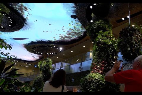 Berpetualang di Changi, bandara rasa wisata alam