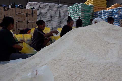 Bulog Papua datangkan 39 ribu ton beras jelang Natal dan Tahun Baru
