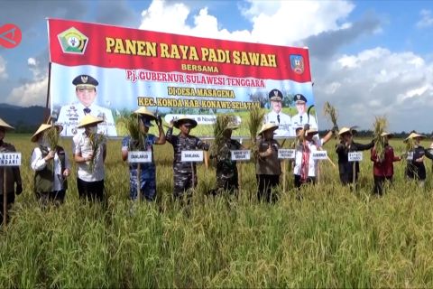 Konawe Selatan panen ribuan ton padi meski terdampak El Nino
