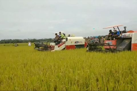 Rayakan HKP, Gubernur Jambi ingin tingkatkan pengetahuan petani