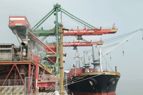 Jagung pakan ternak impor tiba di Terminal Teluk Lamong