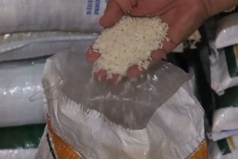 Ombudsman minta pemerintah buat kebijakan HET Gabah