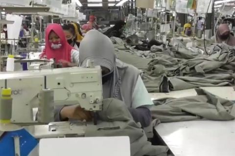 Apindo nilai penetapan UMP 2024 sudah baik