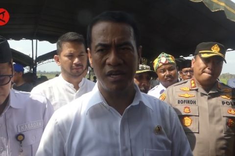 Mentan siapkan 200 ribu ha rawa di Kalsel sebagai penyangga pangan