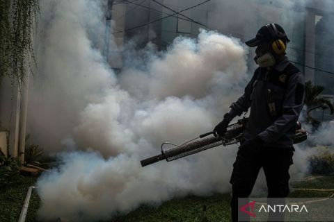 Waspada peningkatan kasus DBD