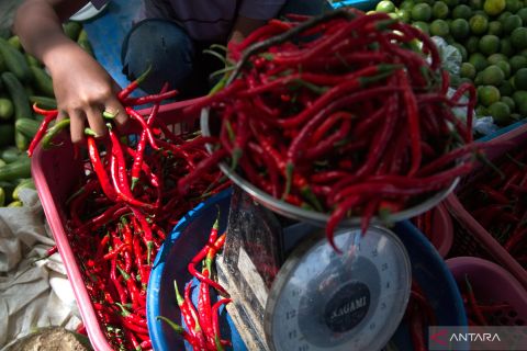 Harga cabai di Baubau naik drastis