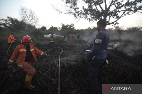 Pemadaman kebakaran lahan gambut di Bengkulu