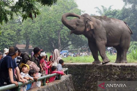 Wisata di Taman Margasatwa Ragunan saat liburan Natal