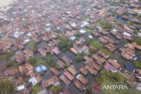 Ratusan rumah terendam banjir akibat luapan Sungai Batanghari