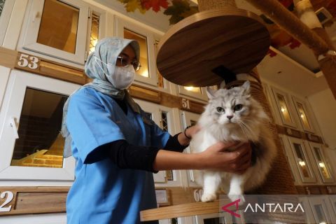 Penitipan hewan naik dua kali lipat saat libur akhir tahun