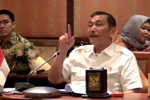 Kembali bekerja, Luhut: jangan remehkan anak muda