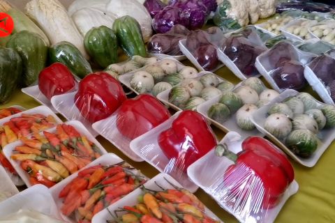 UMKM Aspakusa perluas pasok sayur ke ritel modern