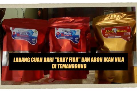 Ladang cuan dari “Baby Fish” dan Abon Ikan Nila di Temanggung