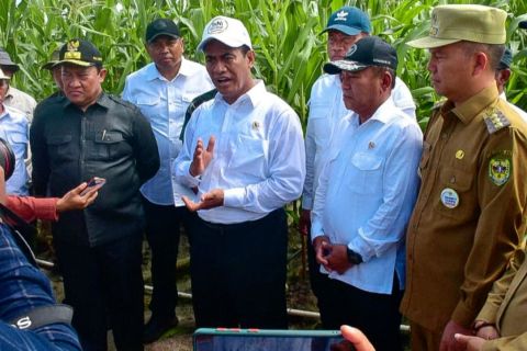 Menteri Pertanian dukung upaya peningkatan swasembada hingga ekspor