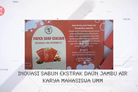 Inovasi sabun ekstrak daun jambu air karya mahasiswa UMM
