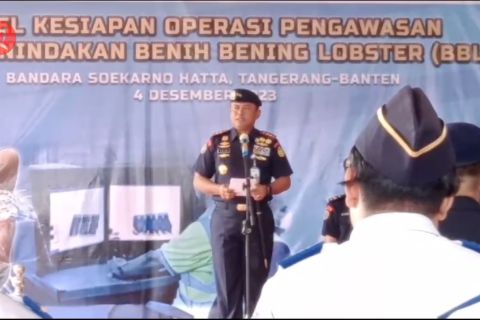 Perketat pengawasan penyelundupan BBL di Bandara Soekarno Hatta