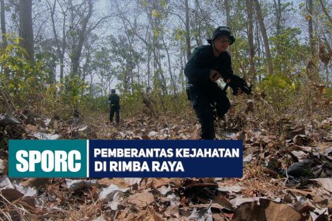 SPORC pemberantas kejahatan di rimba raya bagian 2