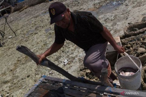 Harga Ikan Kering Naik di Musim Pancaroba